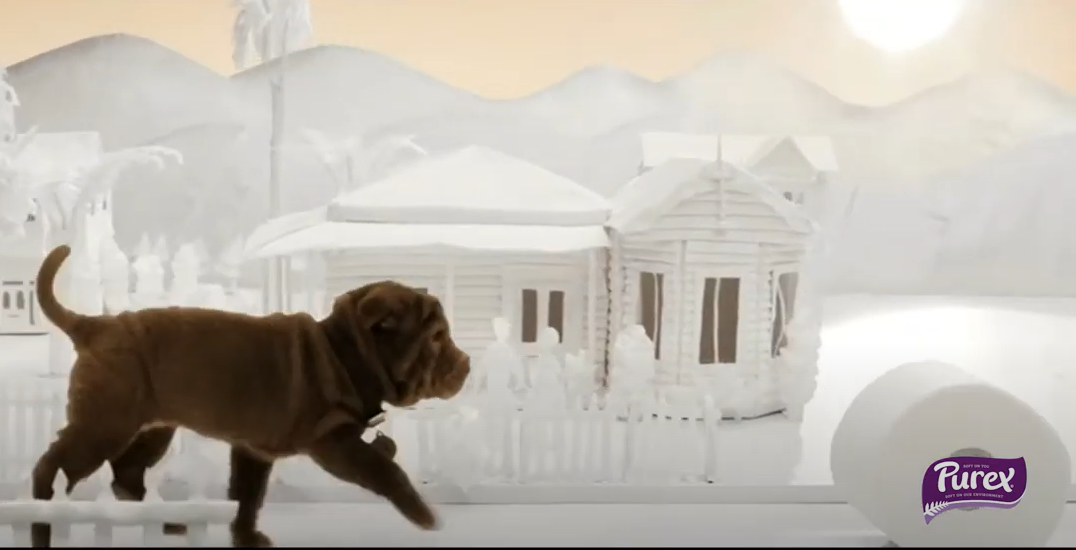 Purex History Of Toilet Paper Timeline Purex New Zealand purex-history-of-toilet-paper-timeline-purex-new-zealand