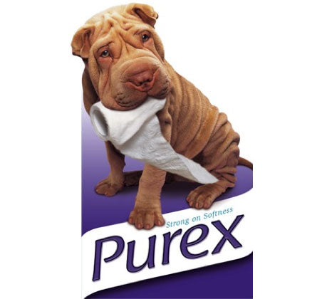 Purex History of Toilet Paper - Timeline – Purex New Zealand